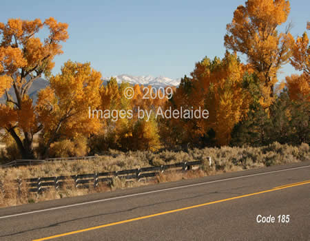 Autumn Color Along 395